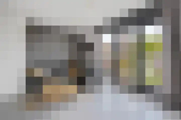 Zilverdragerstraat 14 Etten-Leur thumbnail 8