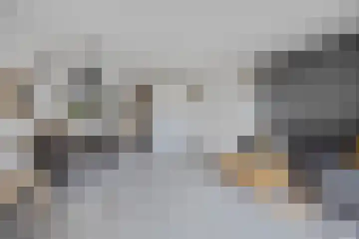 Zilverdragerstraat 14 Etten-Leur thumbnail 9
