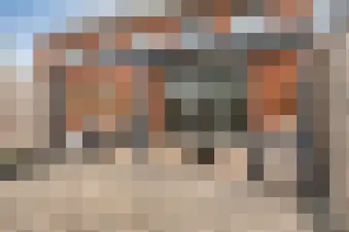 Zilverdragerstraat 8 Etten-Leur thumbnail 39