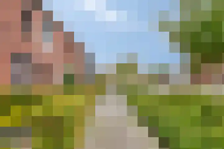 Zilverdragerstraat 8 Etten-Leur thumbnail 8