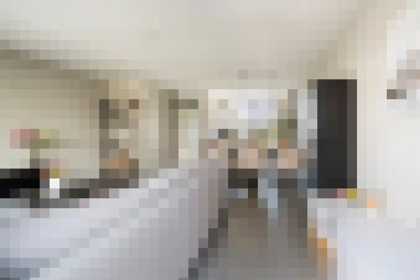 Zilverdragerstraat 9 Etten-Leur thumbnail 10
