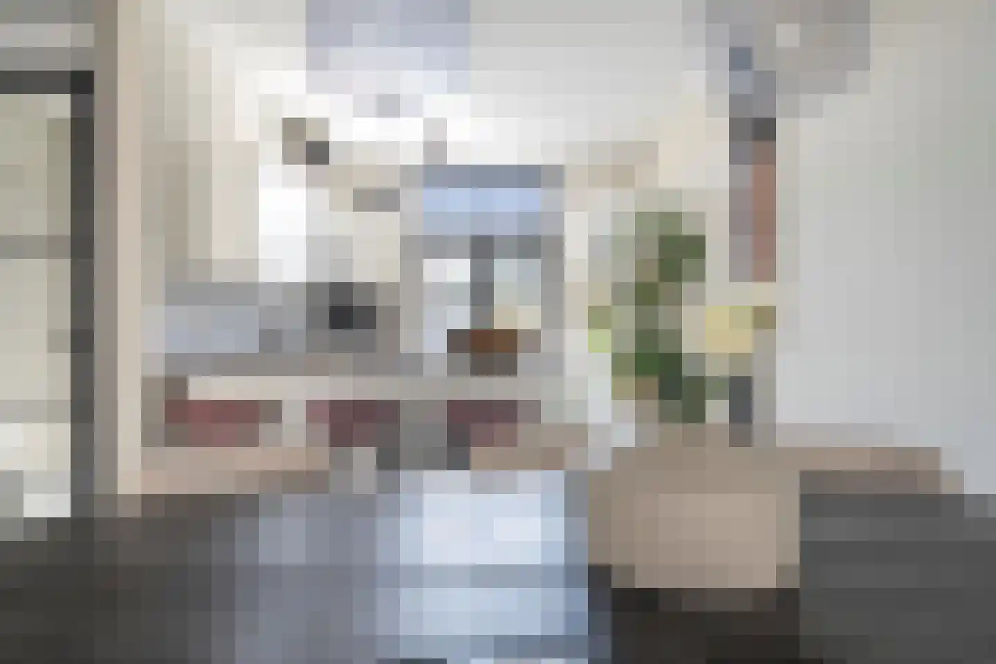 Zilverdragerstraat 9 Etten-Leur thumbnail 13