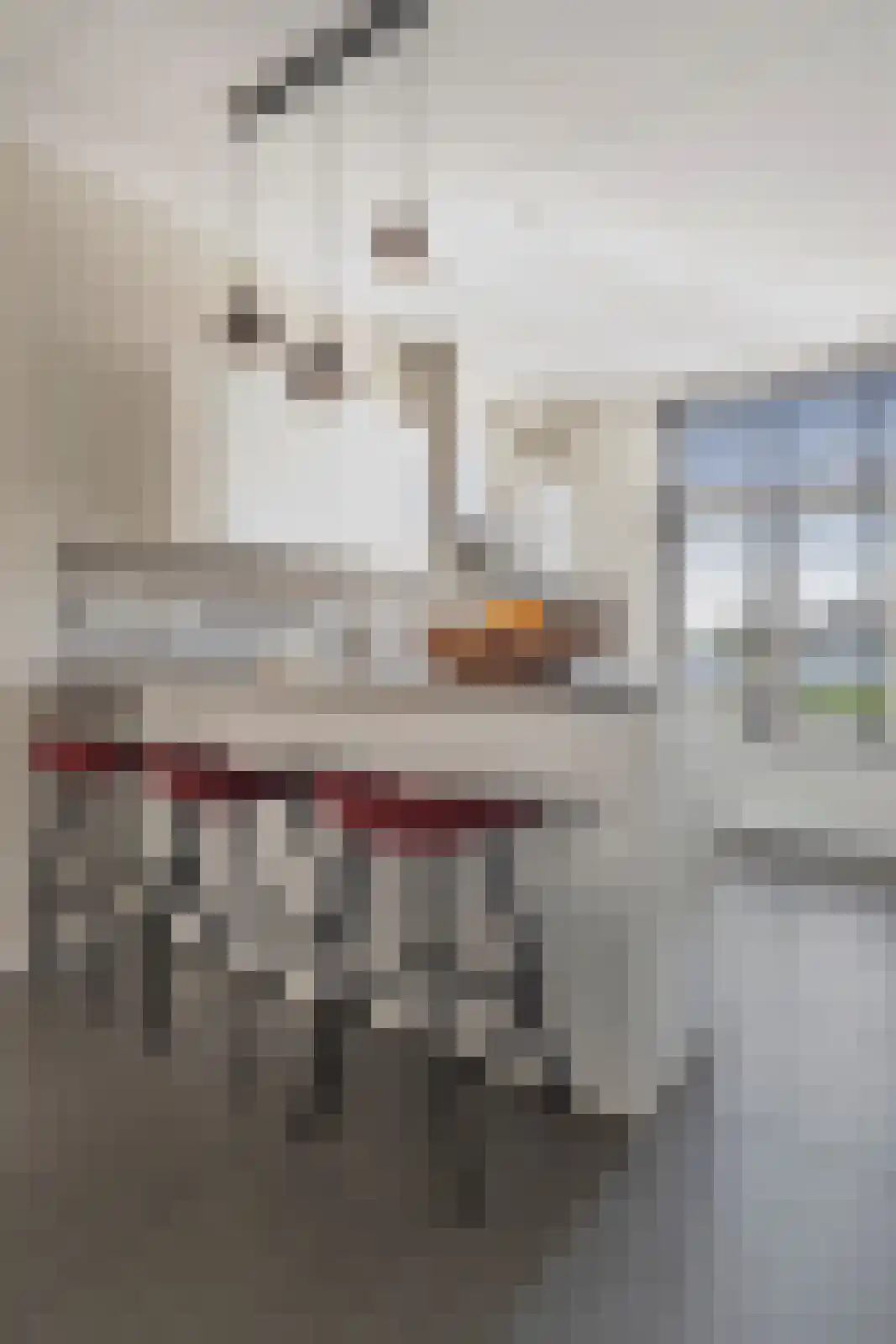 Zilverdragerstraat 9 Etten-Leur thumbnail 16