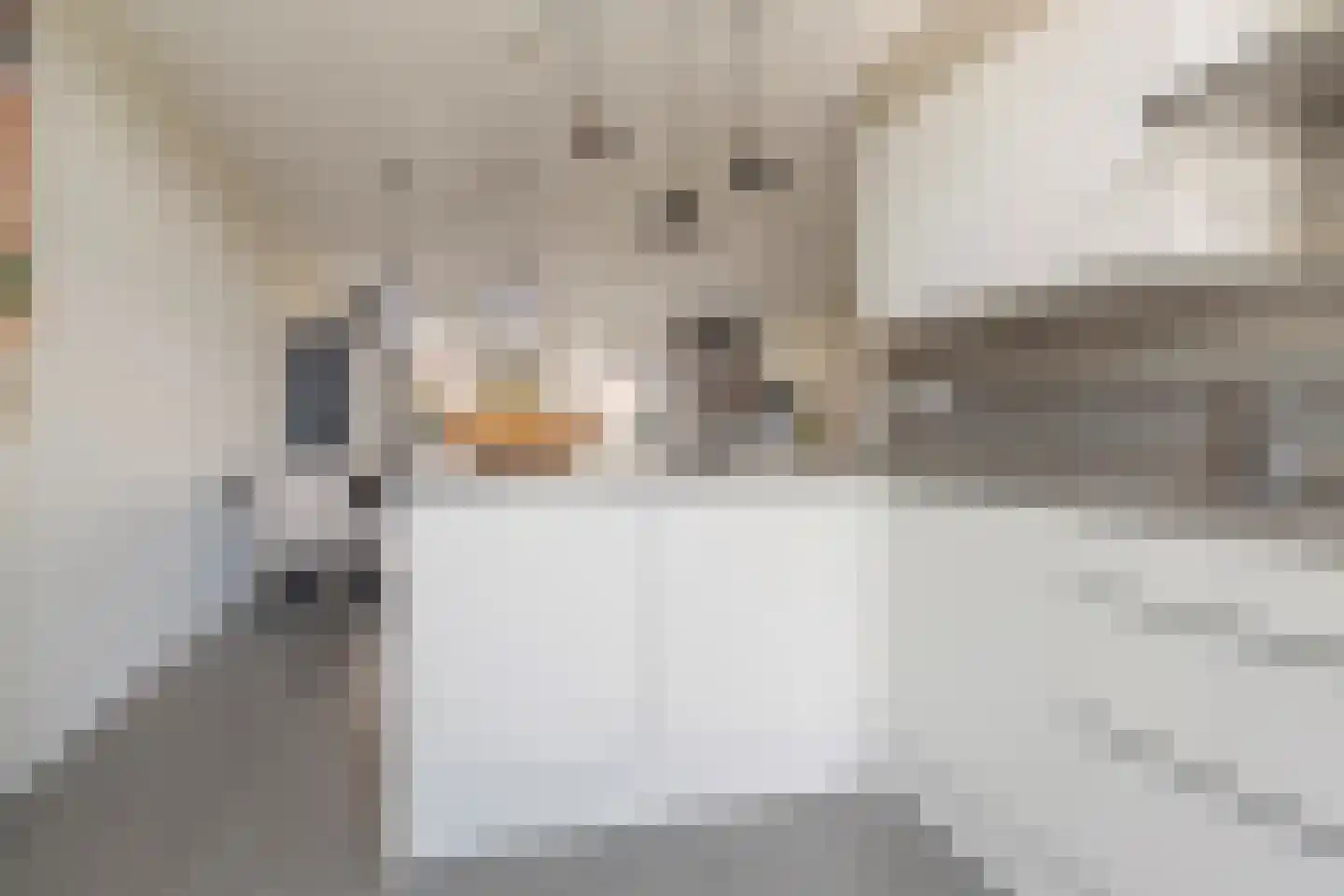 Zilverdragerstraat 9 Etten-Leur thumbnail 19