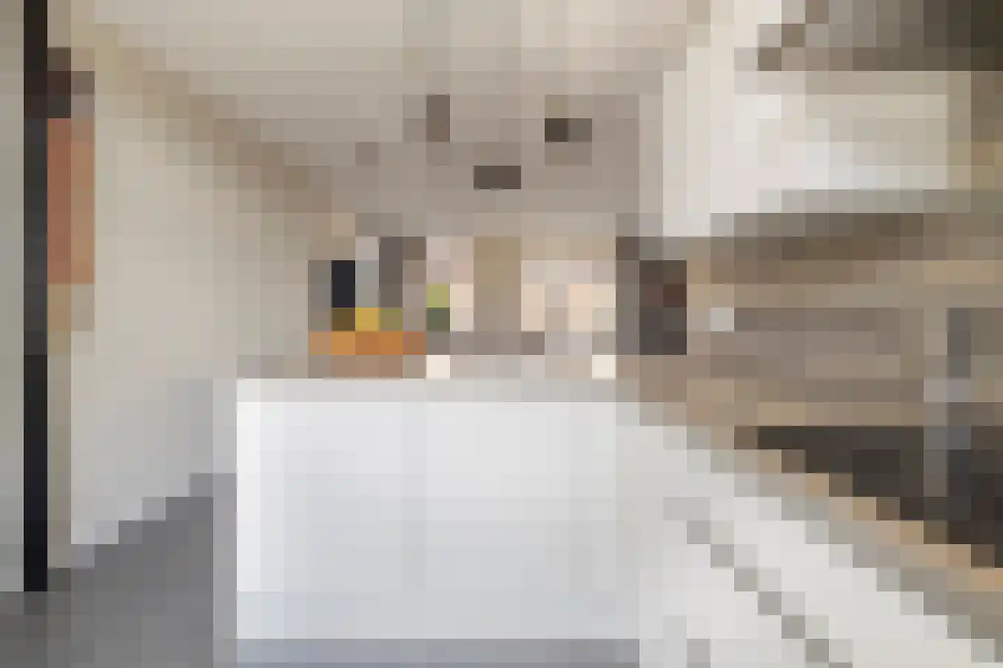 Zilverdragerstraat 9 Etten-Leur thumbnail 20