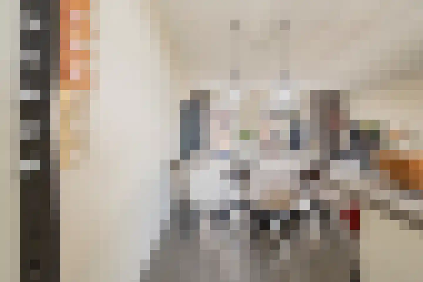 Zilverdragerstraat 9 Etten-Leur thumbnail 21