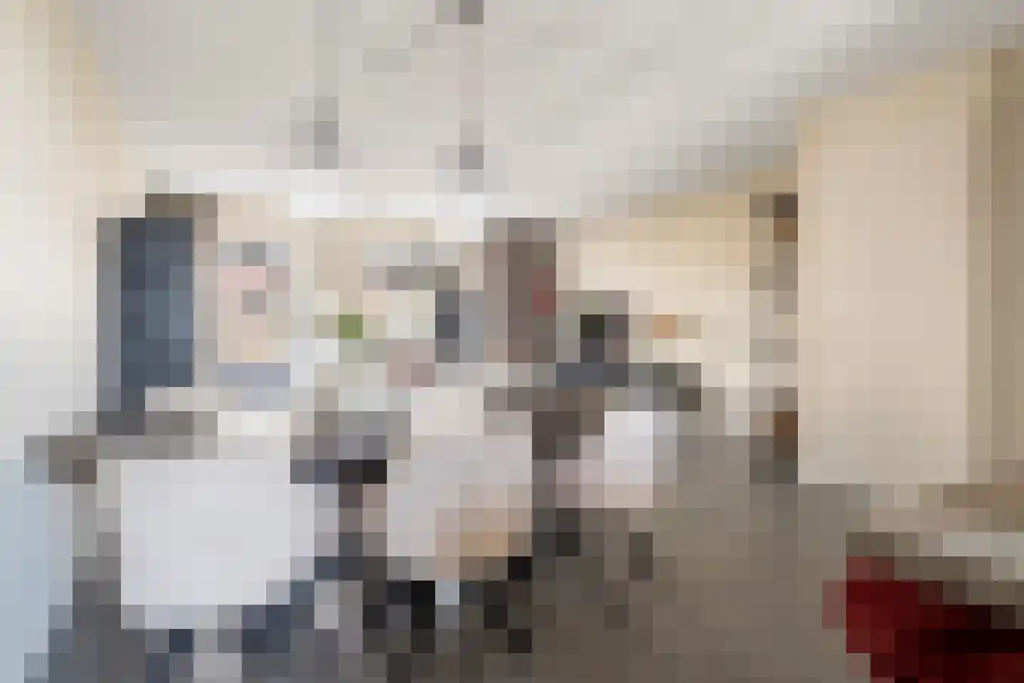 Zilverdragerstraat 9 Etten-Leur thumbnail 22
