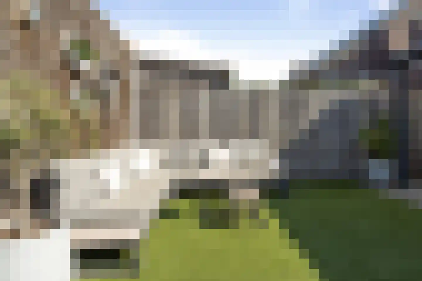 Zilverdragerstraat 9 Etten-Leur thumbnail 47