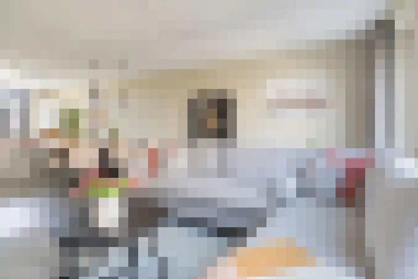 Zilverdragerstraat 9 Etten-Leur thumbnail 6