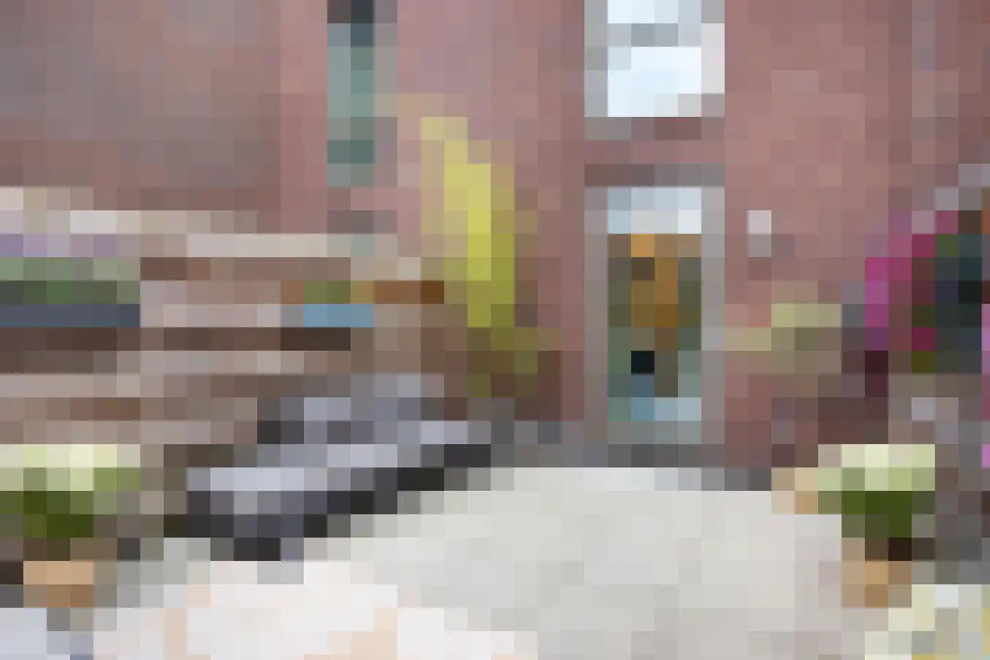 Zilveren Florijnlaan 21 Utrecht thumbnail 18