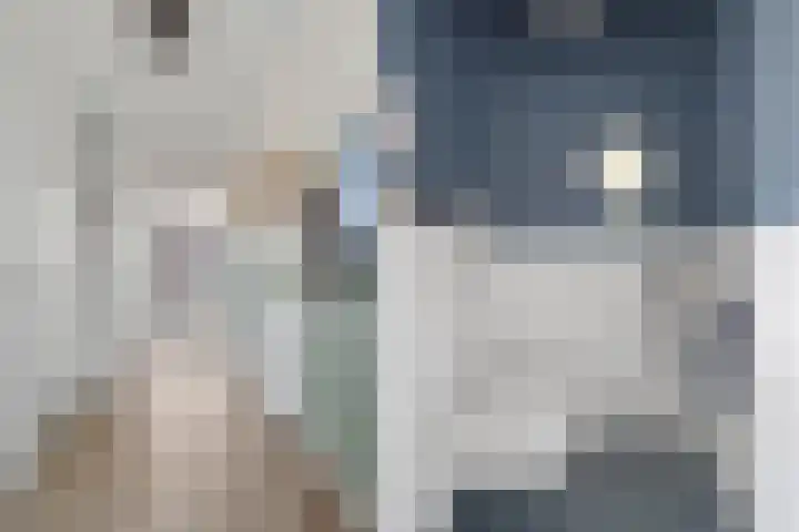 Zilveren Florijnlaan 237 Utrecht thumbnail 13