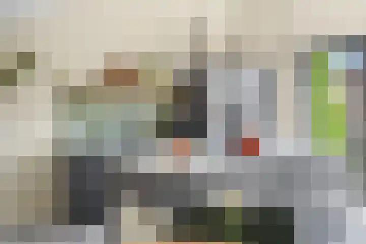 Zilveren Florijnlaan 237 Utrecht thumbnail 15