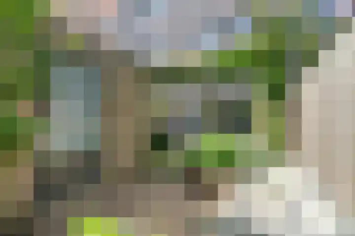 Zilveren Florijnlaan 237 Utrecht thumbnail 19