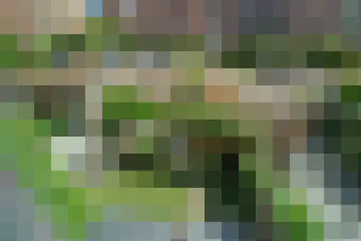 Zilveren Florijnlaan 237 Utrecht thumbnail 23
