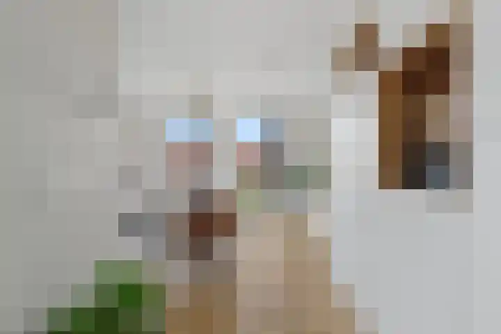Zilveren Florijnlaan 237 Utrecht thumbnail 5