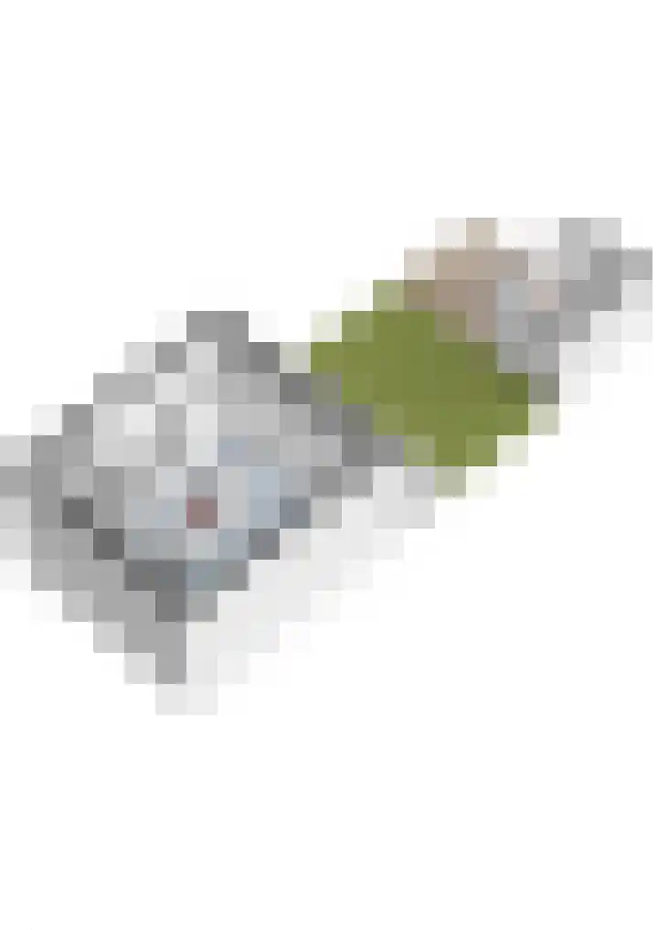 Zilveren Florijnlaan 237 Utrecht thumbnail 56