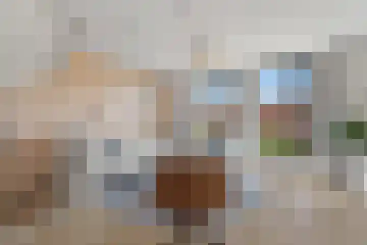 Zilveren Florijnlaan 237 Utrecht thumbnail 6