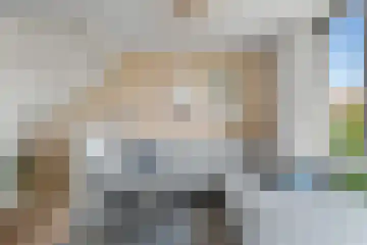 Zilveren Florijnlaan 237 Utrecht thumbnail 8