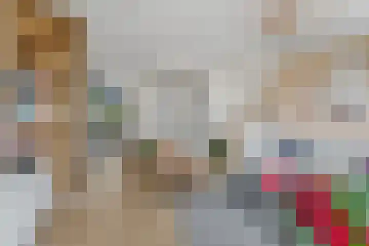 Zilveren Florijnlaan 237 Utrecht thumbnail 9