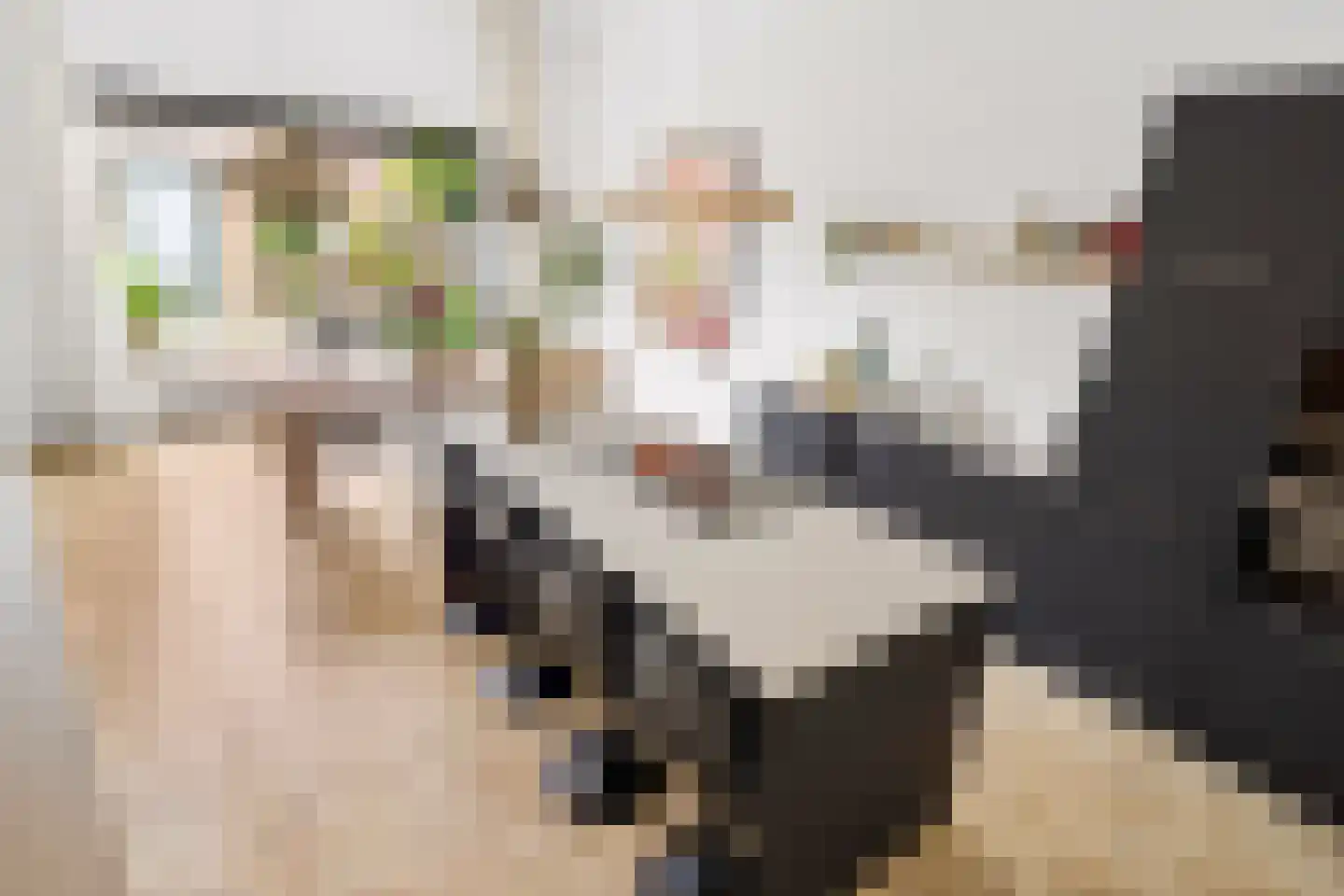 Zilveren Florijnlaan 239 Utrecht thumbnail 11