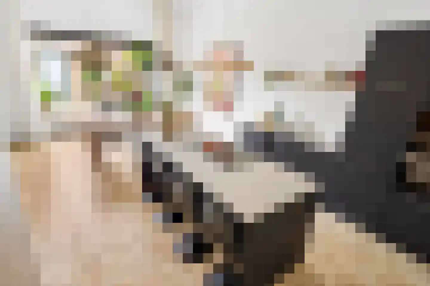 Zilveren Florijnlaan 239 Utrecht thumbnail 11