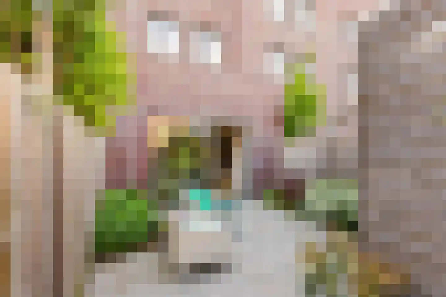 Zilveren Florijnlaan 239 Utrecht thumbnail 4