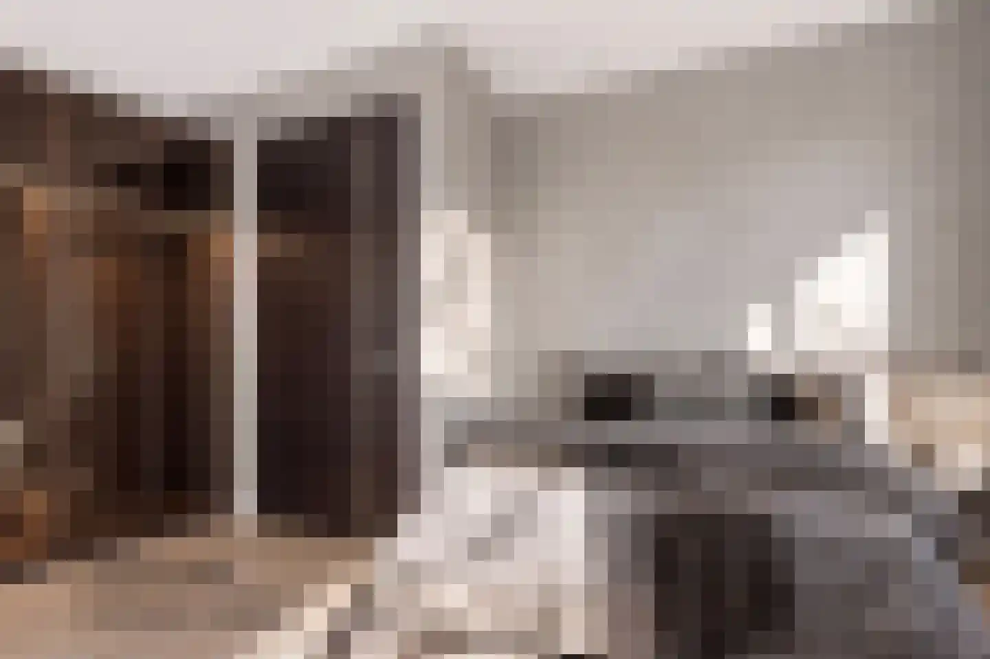 Zilveren Florijnlaan 239 Utrecht thumbnail 40