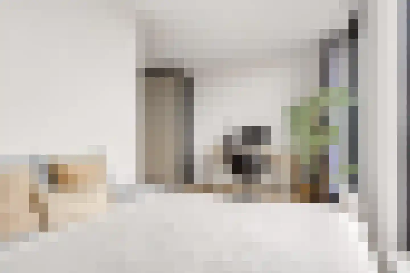 Zilveren Florijnlaan 239 Utrecht thumbnail 51