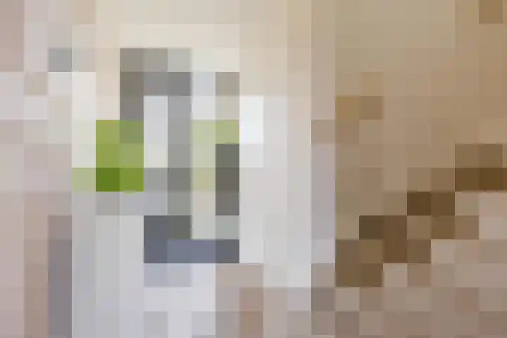Zilveren Florijnlaan 245 Utrecht thumbnail 15