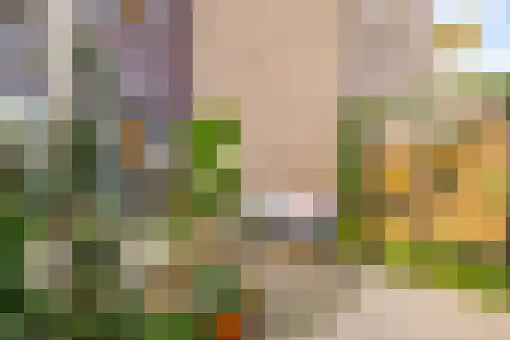 Zilveren Florijnlaan 245 Utrecht thumbnail 31
