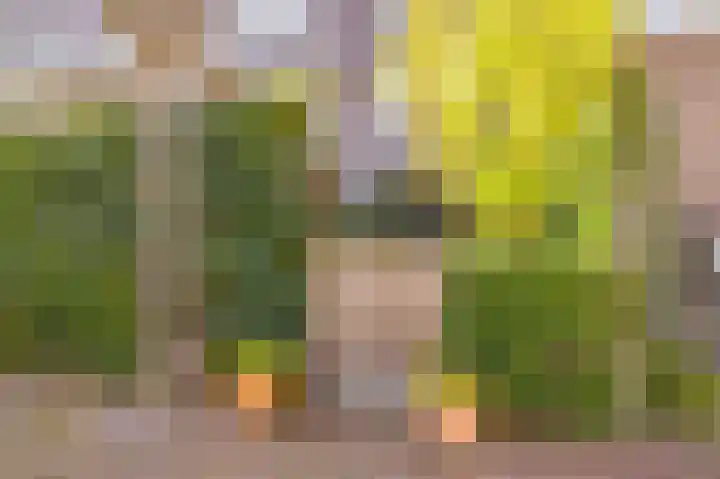 Zilveren Florijnlaan 245 Utrecht thumbnail 33