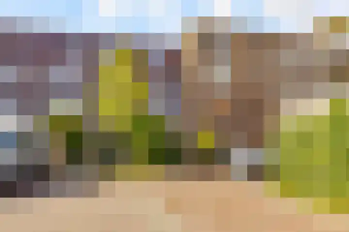 Zilveren Florijnlaan 245 Utrecht thumbnail 35