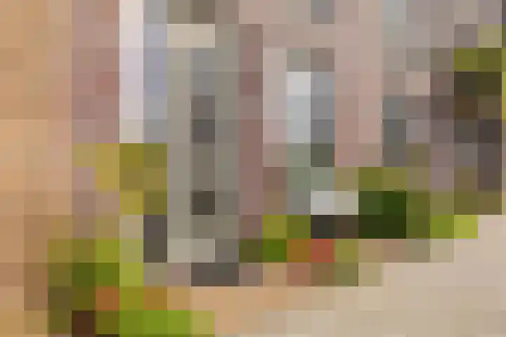 Zilveren Florijnlaan 245 Utrecht thumbnail 37