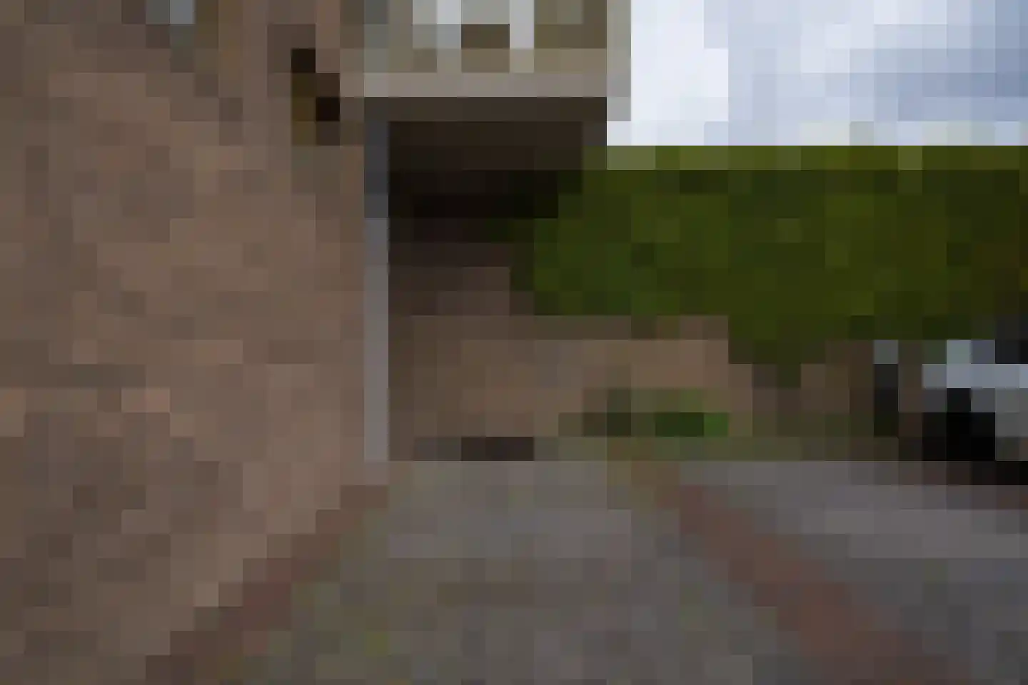 Zilveren Florijnlaan 247 Utrecht thumbnail 37