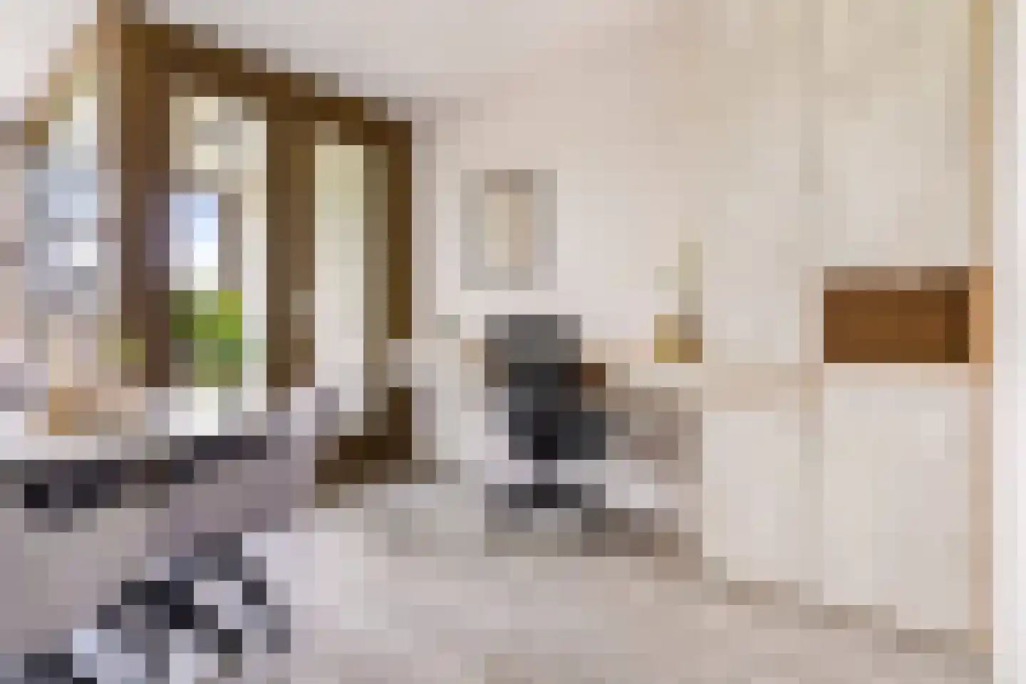 Zilveren Florijnlaan 253 Utrecht thumbnail 10
