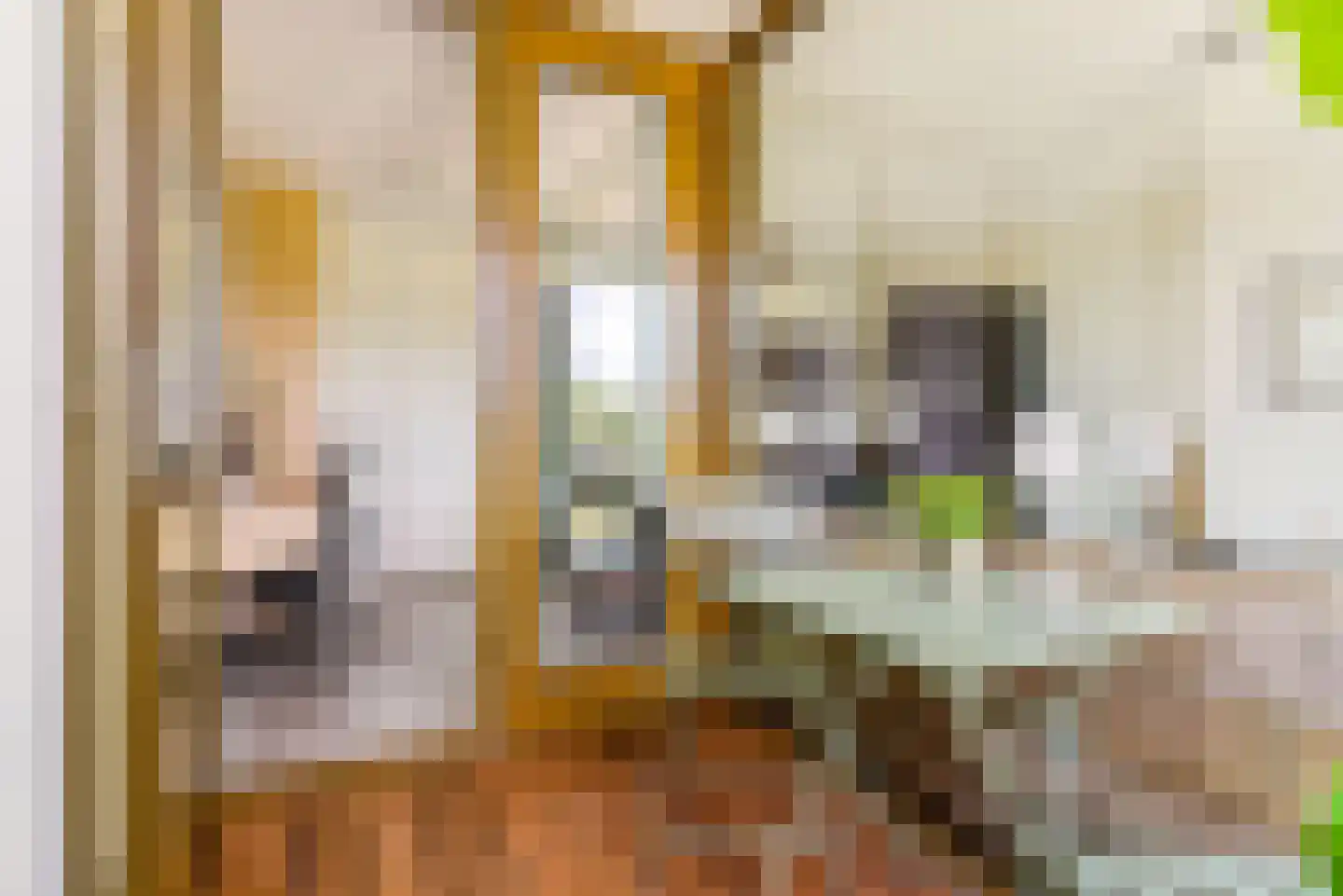 Zilveren Florijnlaan 253 Utrecht thumbnail 22