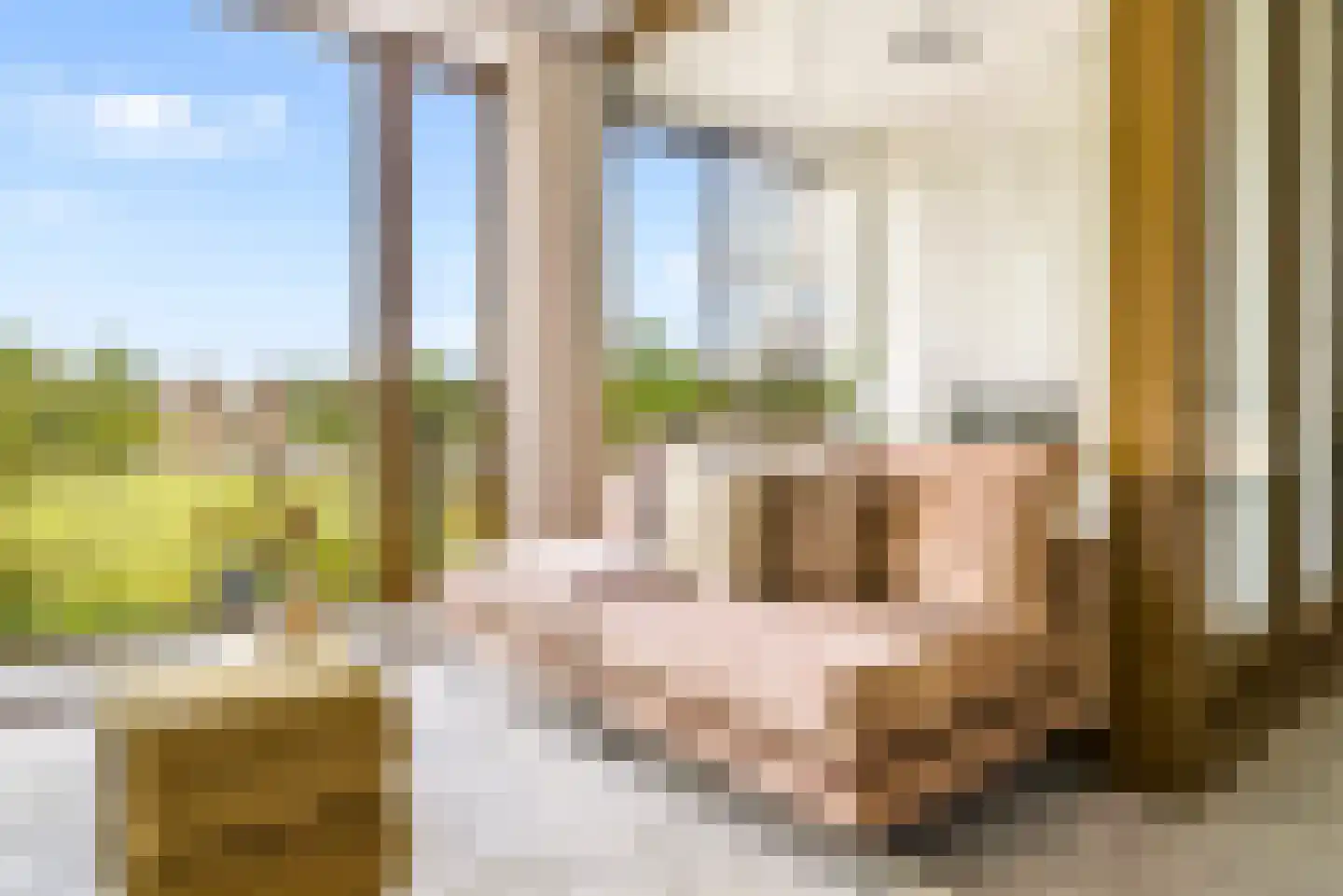 Zilveren Florijnlaan 253 Utrecht thumbnail 5