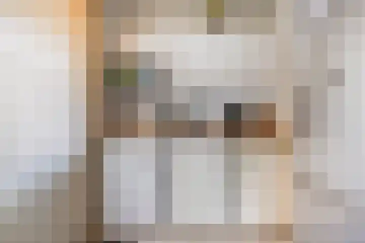 Zilveren Maan 22 Deurne thumbnail 12