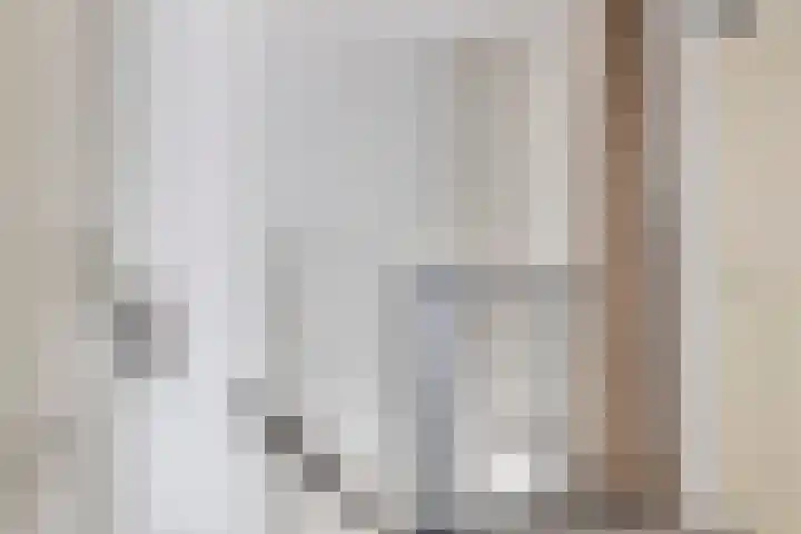 Zilveren Maan 22 Deurne thumbnail 13