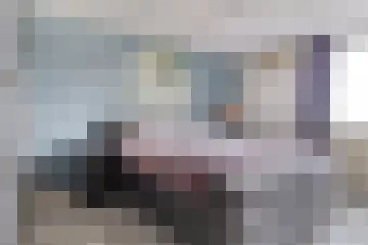 Zilveren Maan 22 Deurne thumbnail 14