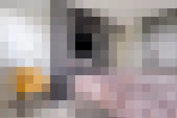 Zilveren Maan 22 Deurne thumbnail 15