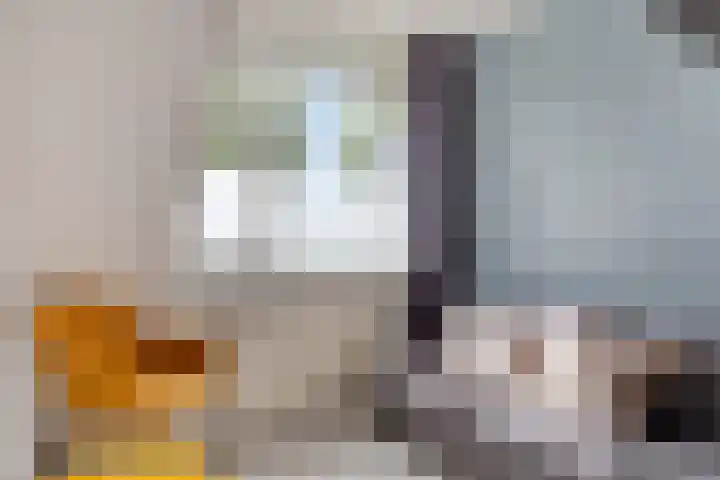 Zilveren Maan 22 Deurne thumbnail 17