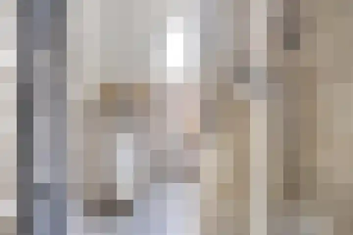 Zilveren Maan 22 Deurne thumbnail 19