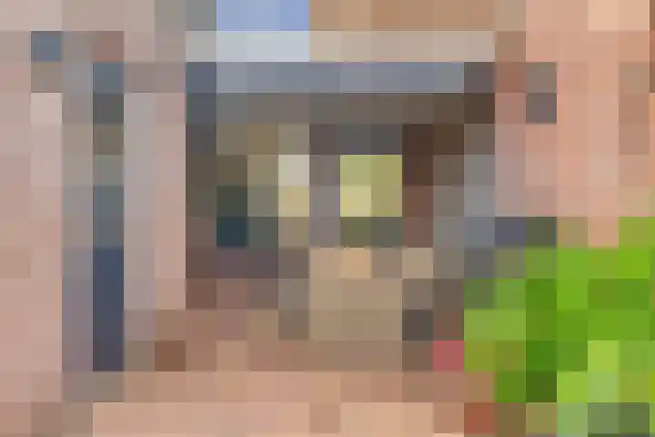 Zilveren Maan 22 Deurne thumbnail 21