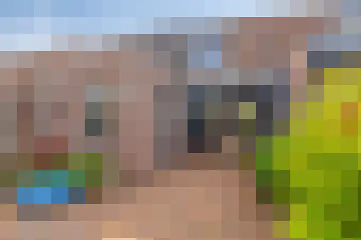 Zilveren Maan 22 Deurne thumbnail 25