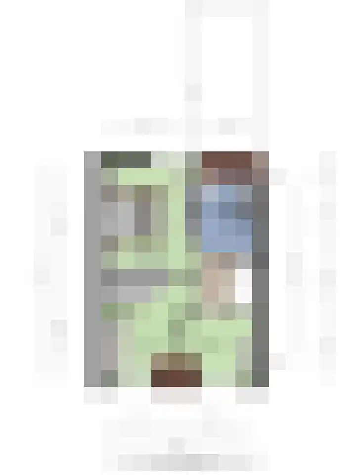 Zilveren Maan 22 Deurne thumbnail 27