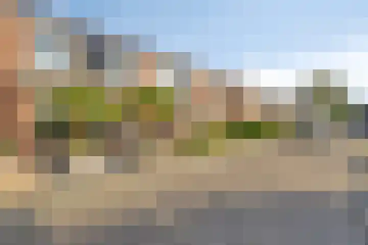 Zilveren Maan 22 Deurne foto 3