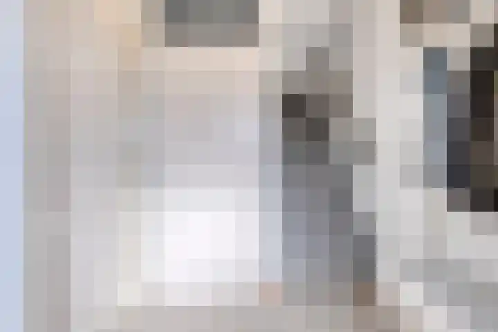 Zilveren Maan 22 Deurne thumbnail 4