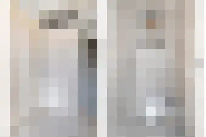 Zilveren Maan 22 Deurne thumbnail 5