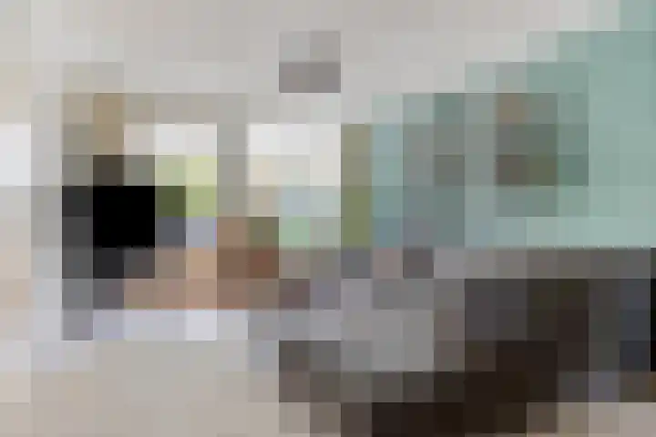 Zilveren Maan 22 Deurne thumbnail 7